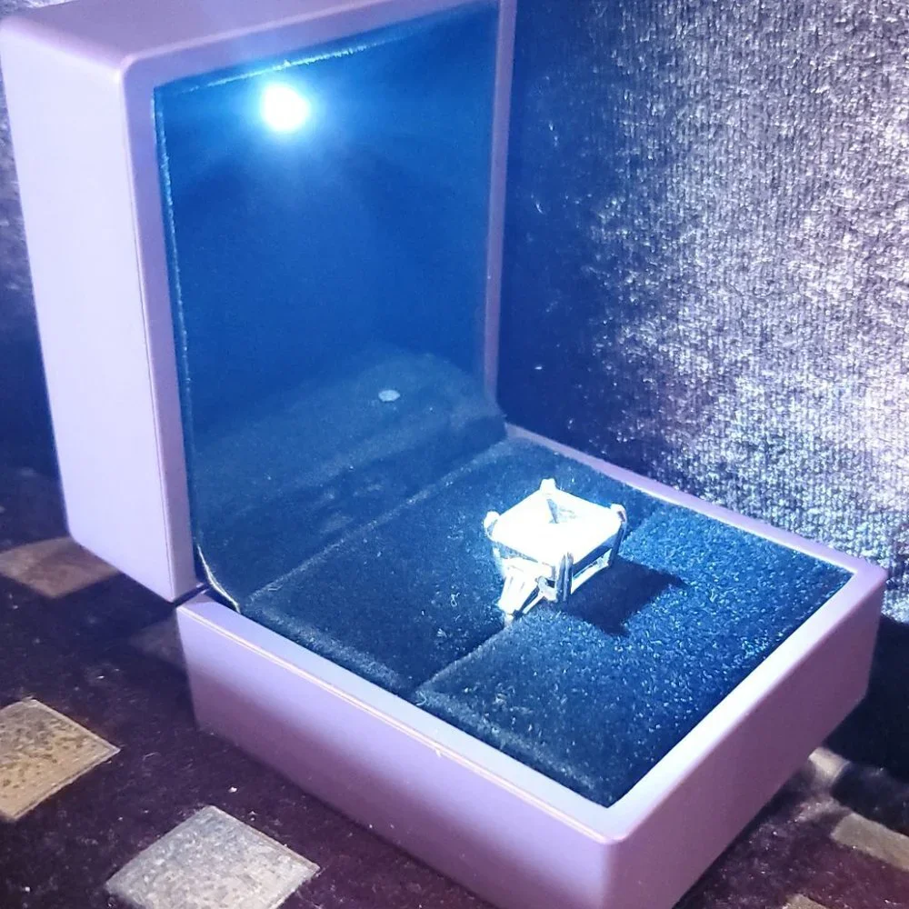 FlorasFantasies led lighted